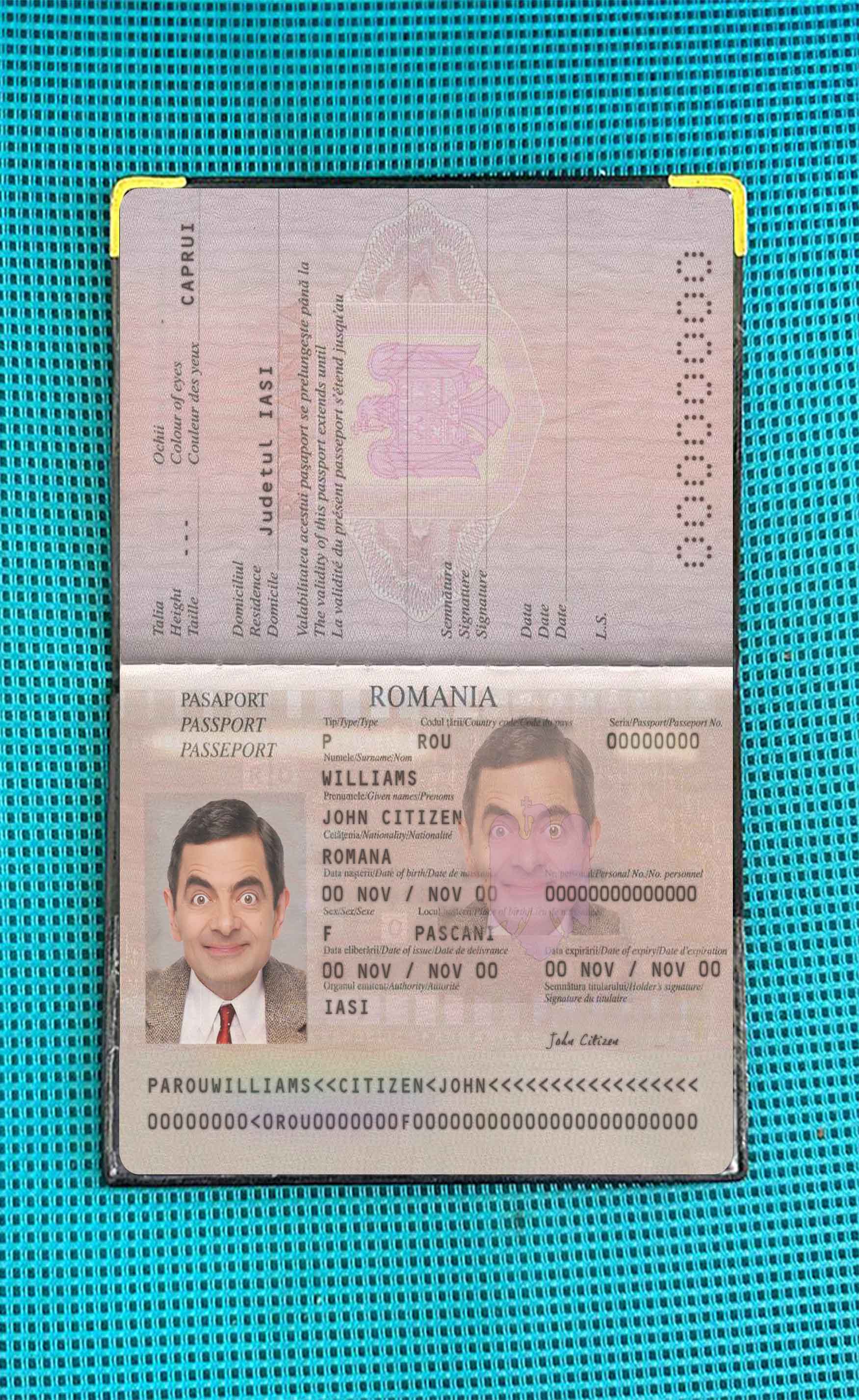 Romania pass 2013 present photo look PSD template